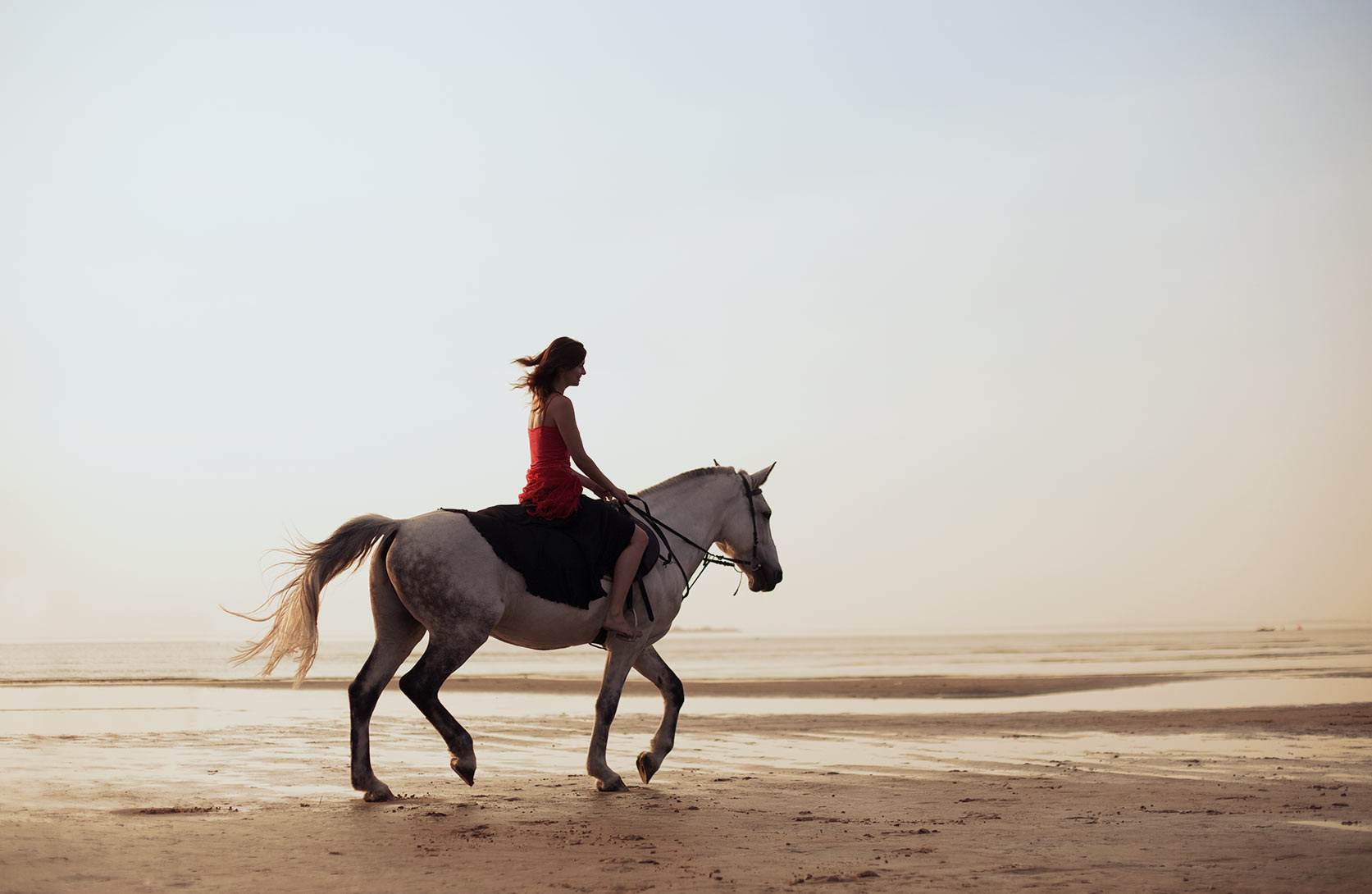 mayu-suites-hotel-santorini-concierge.jpg Concierge